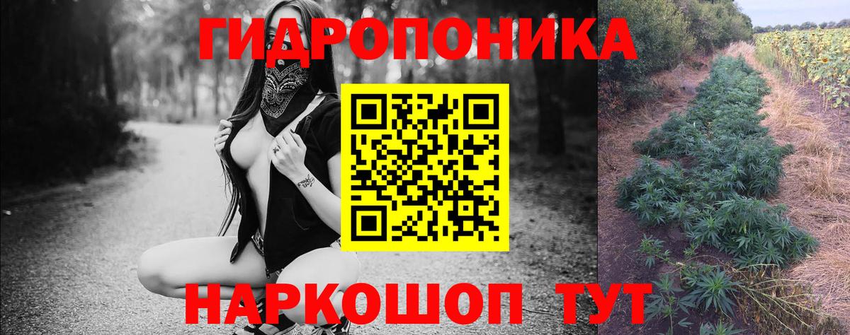 Шишки марихуана OG Kush  Кыштым  Шишки марихуана Ganja  Конопля Bruce Banner 